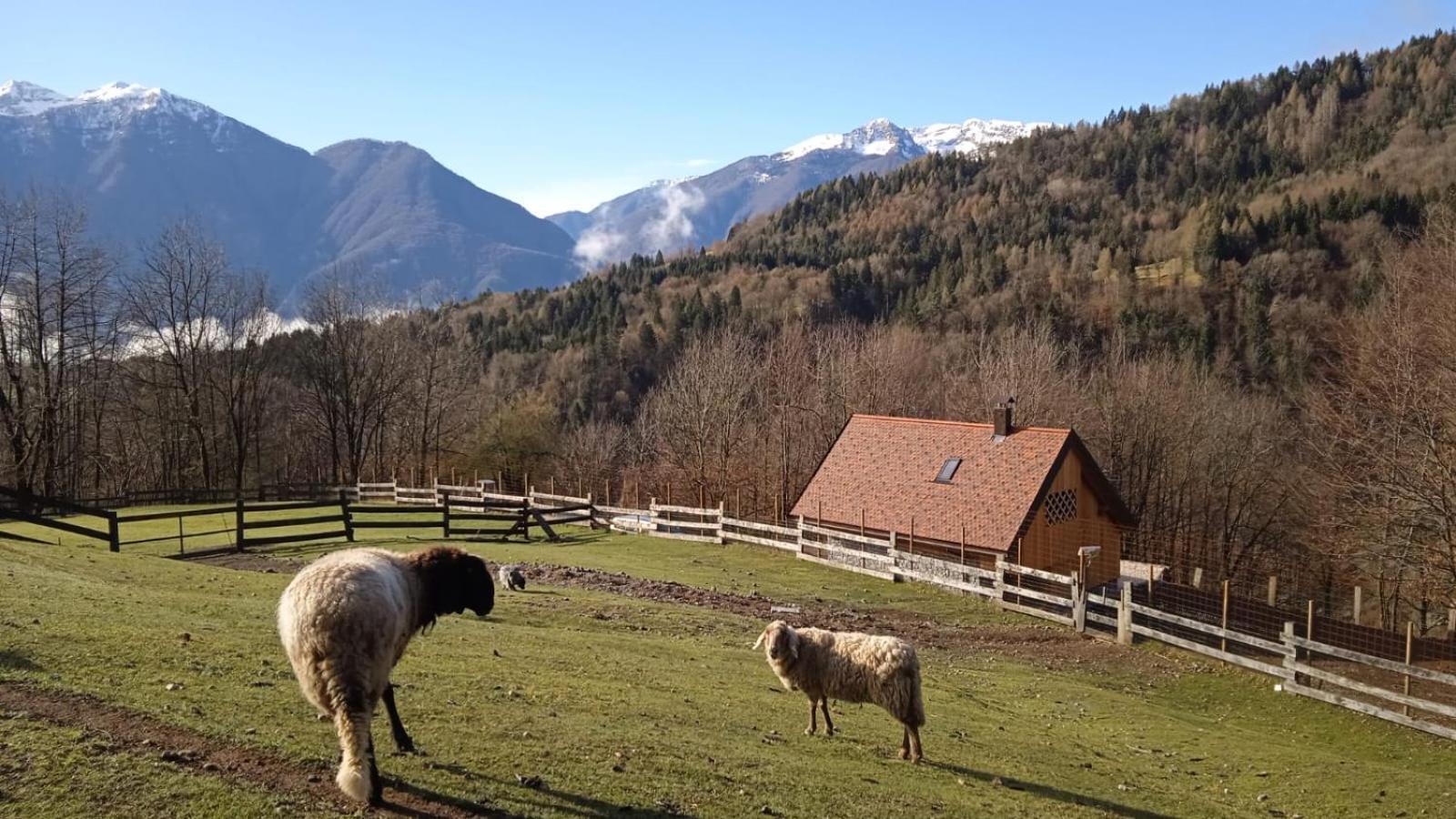 Chalet Navauce Raveo Kültér fotó